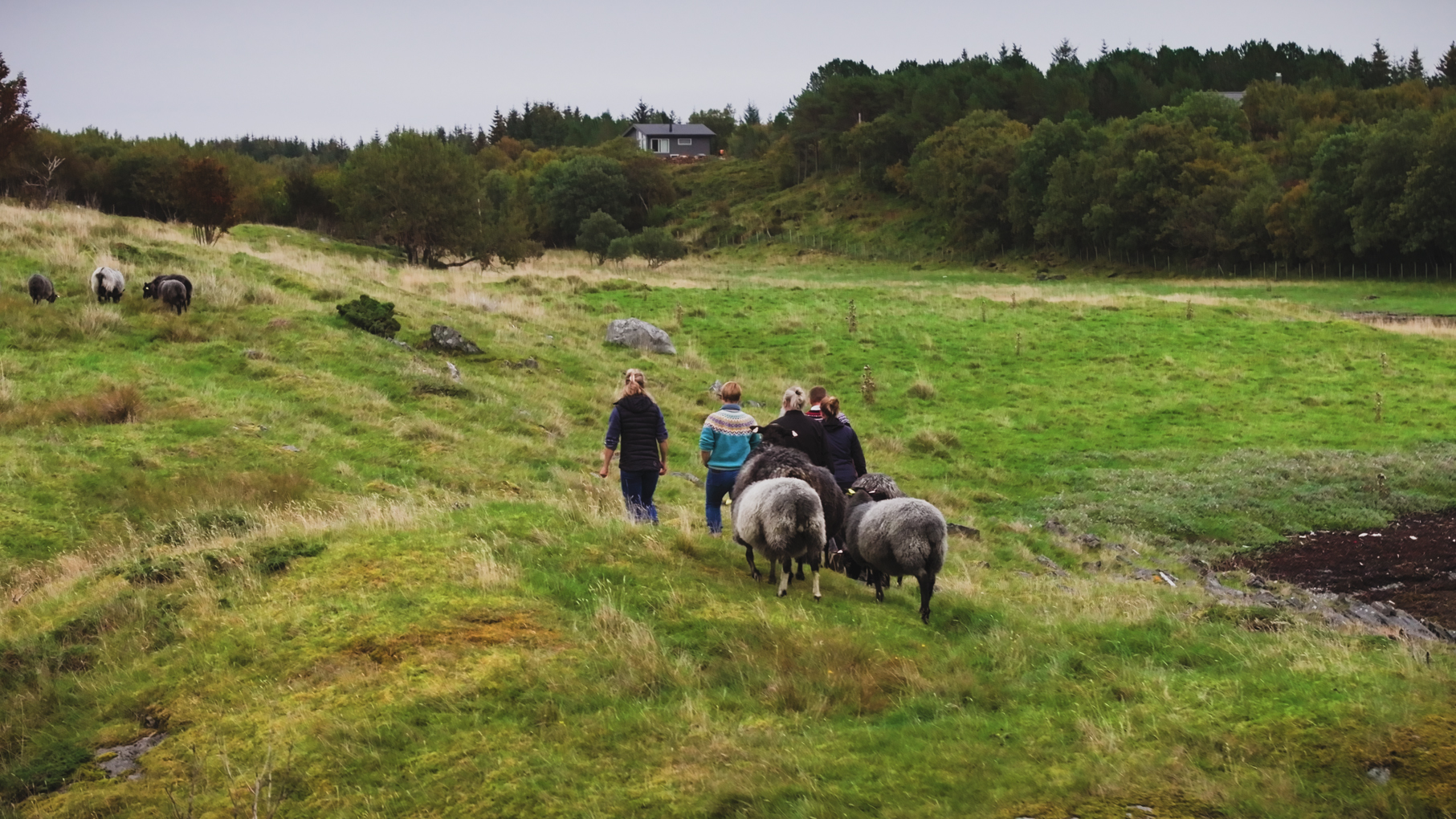 Check for People of the North airing on a public television station near you!